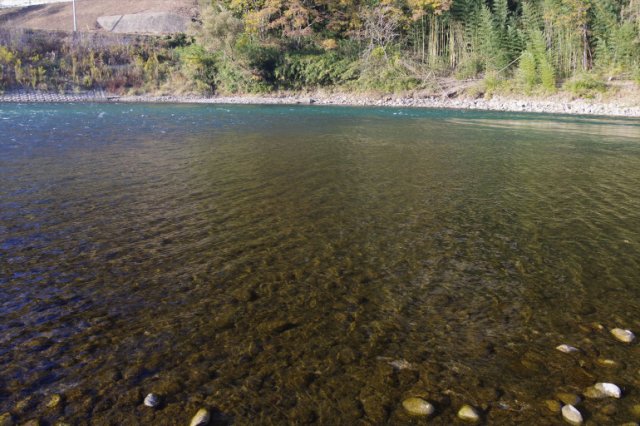 IMGP8825_R
