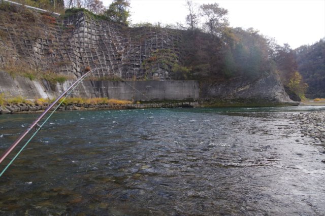 IMGP8906_R