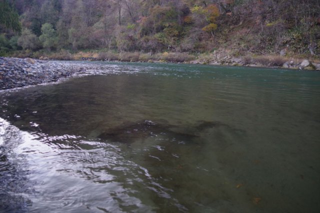 IMGP9034_R