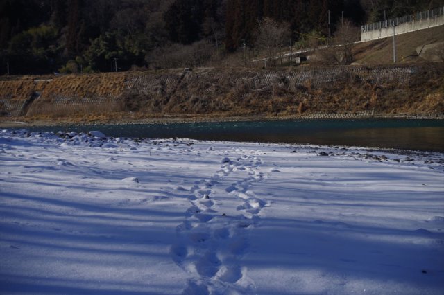 IMGP9332_R