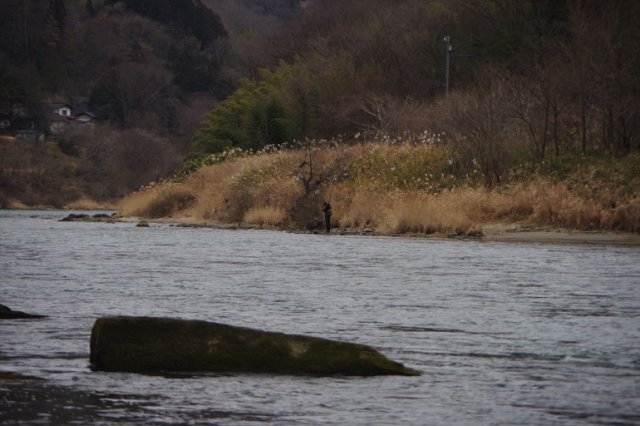 IMGP9415_R
