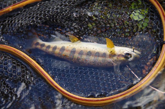 IMGP9464_R