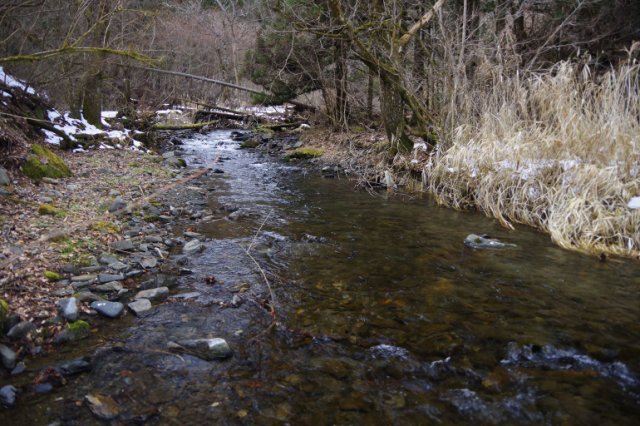 IMGP9538_R