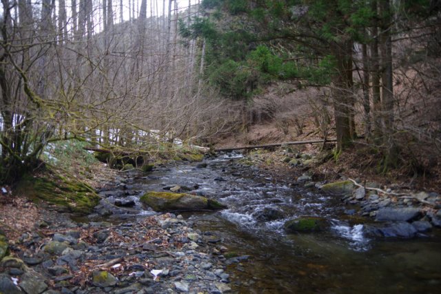 IMGP9581_R