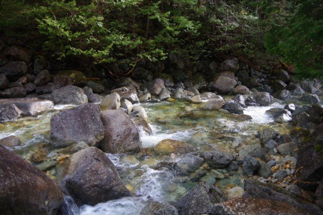 IMGP9767_R