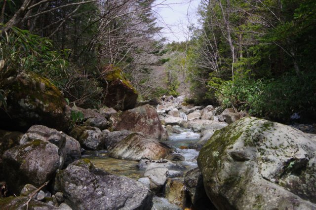 IMGP9810_R