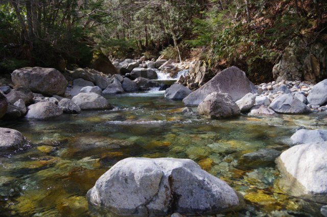 IMGP9845_R