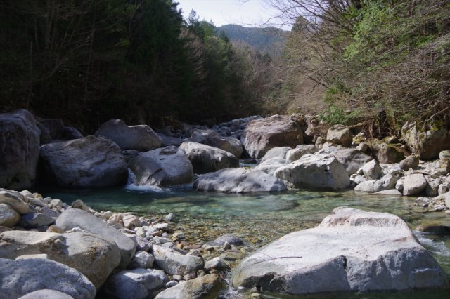 IMGP9923_R