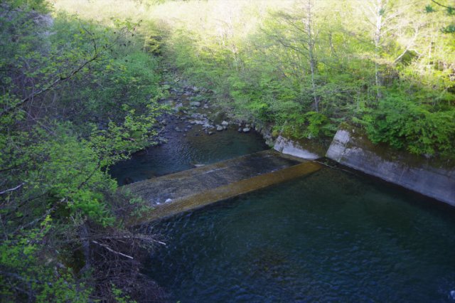 IMGP0141_R