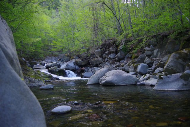 IMGP0343_R