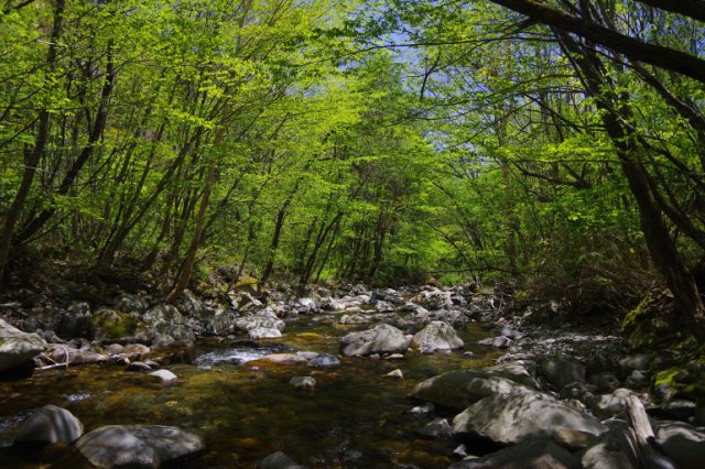 IMGP0891_R