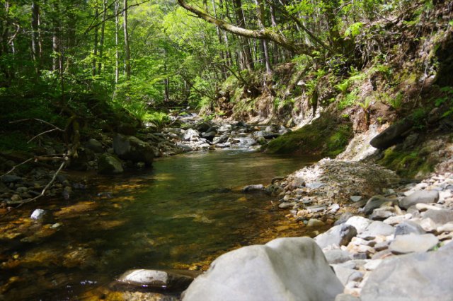 IMGP1152_R