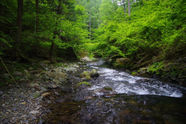 IMGP1289_R