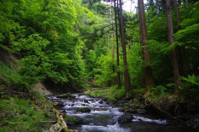 IMGP1307_R