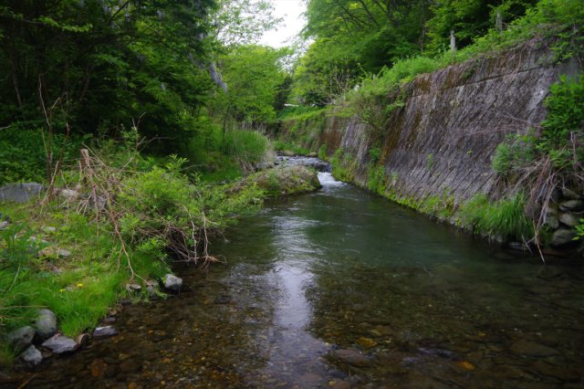 IMGP1378_R