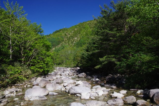 IMGP1387_R