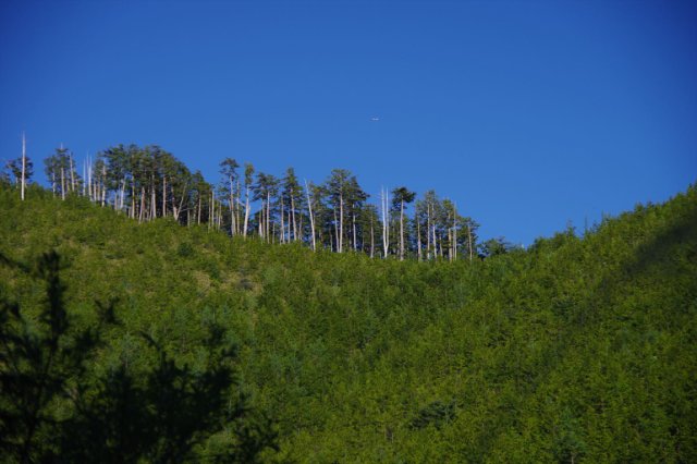 IMGP1659_R