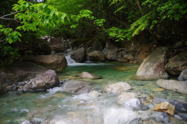 IMGP1684_R
