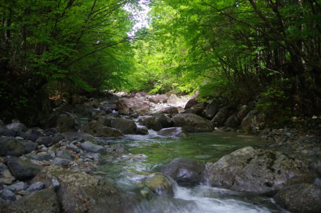 IMGP1691_R