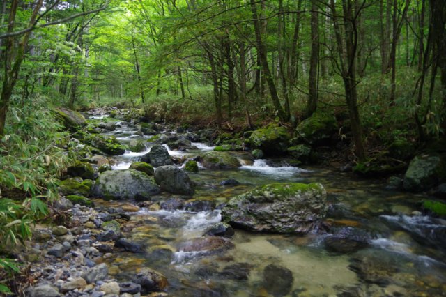 IMGP1929_R