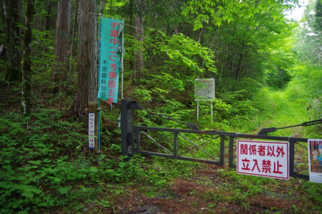 IMGP2072_R