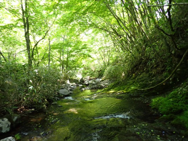 P6150093_R