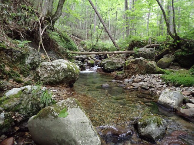 P6150167_R