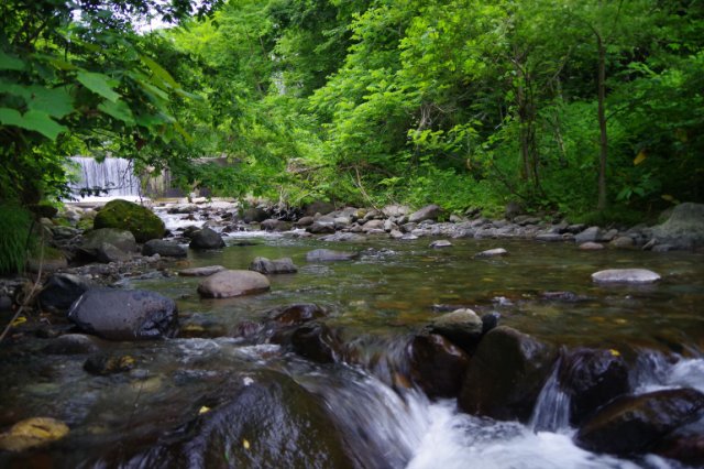 IMGP2112_R