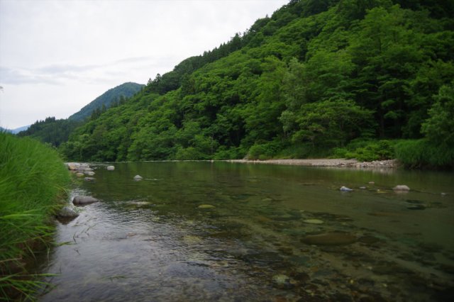 IMGP2132_R