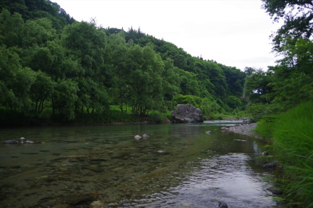 IMGP2136_R