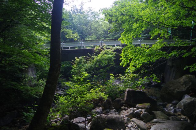 IMGP2178_R