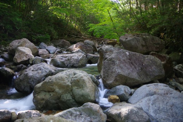 IMGP2336_R