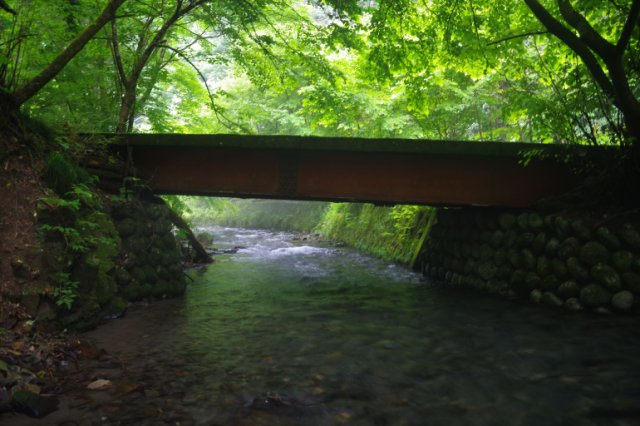 IMGP2389_R