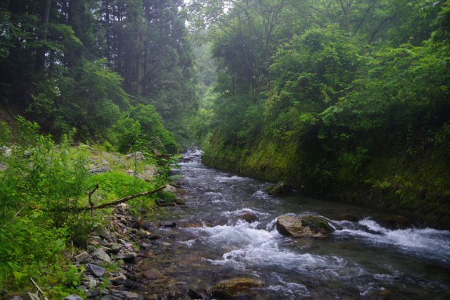IMGP2397_R