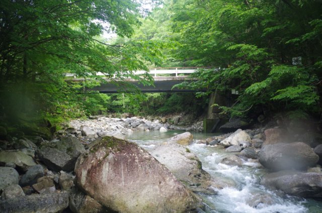IMGP5001_R