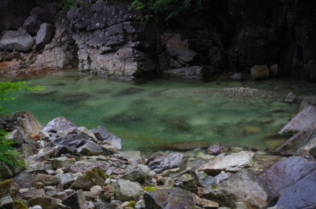 IMGP5393_R