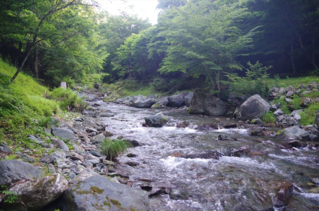 IMGP5525_R