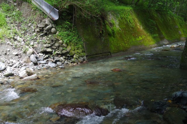 IMGP5549_R