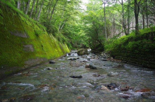 IMGP5560_R