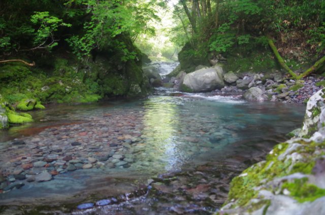 IMGP5604_R