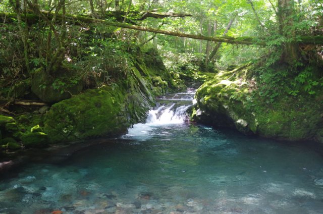IMGP5744_R
