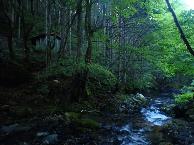 P8100125_R