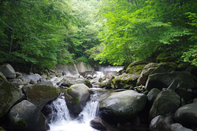 IMGP6234_R