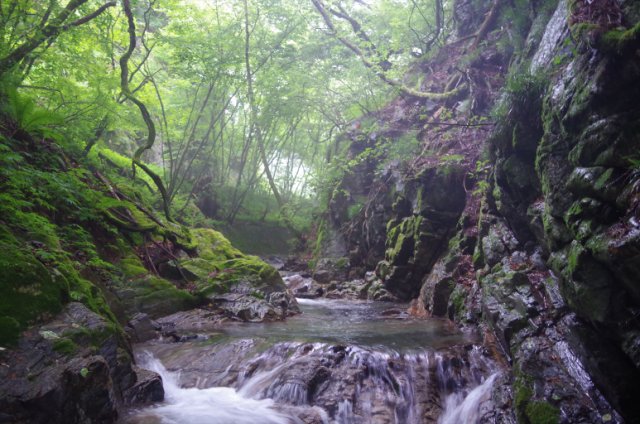 IMGP6273_R