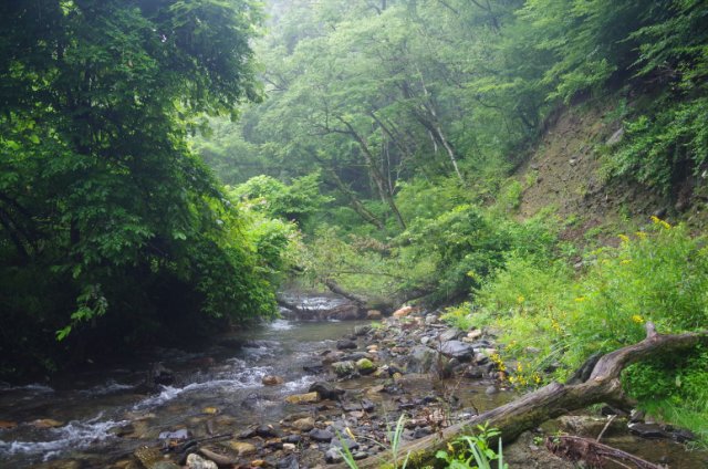 IMGP6345_R