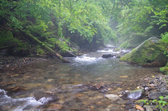 IMGP6407_R