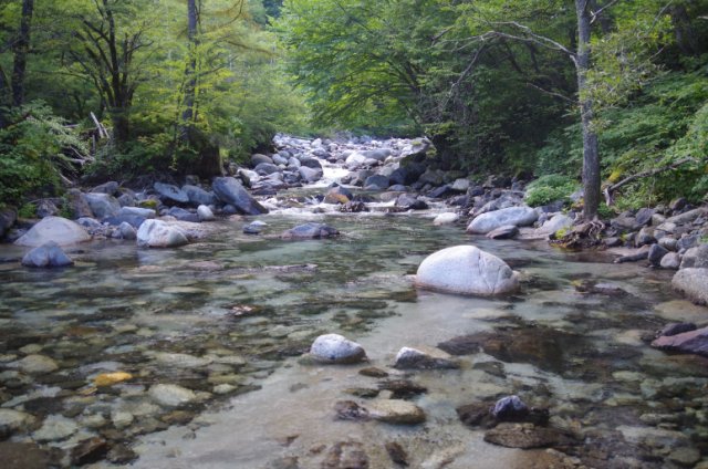 IMGP6676_R