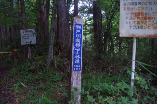 IMGP6738_R