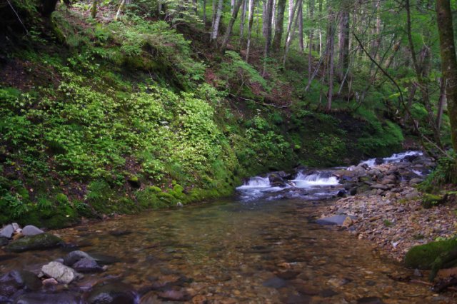 IMGP2504_R