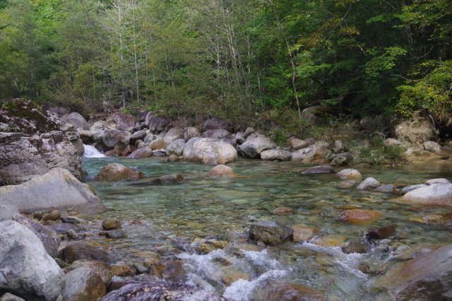 IMGP2601_R